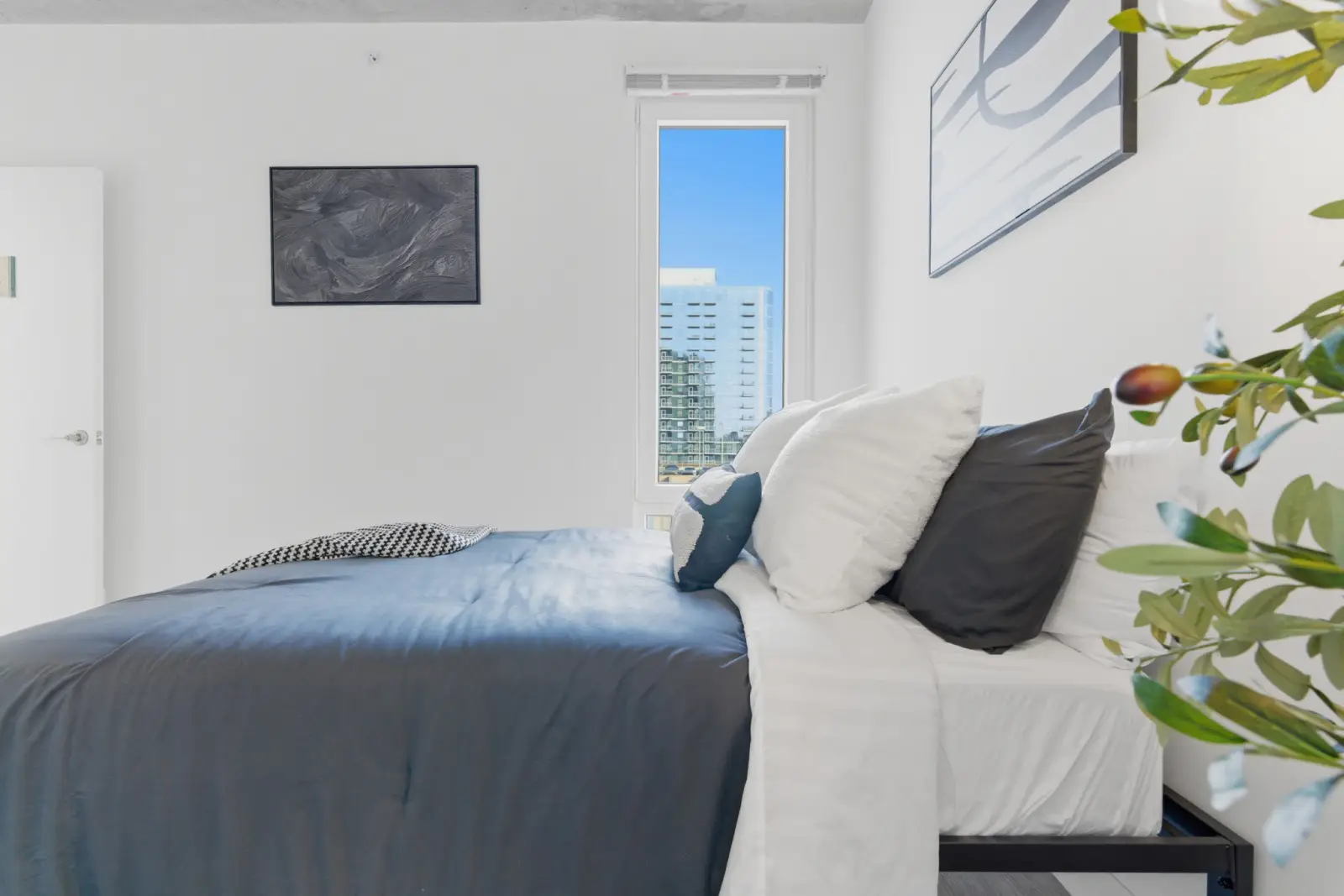 14 web or mls DSC02735