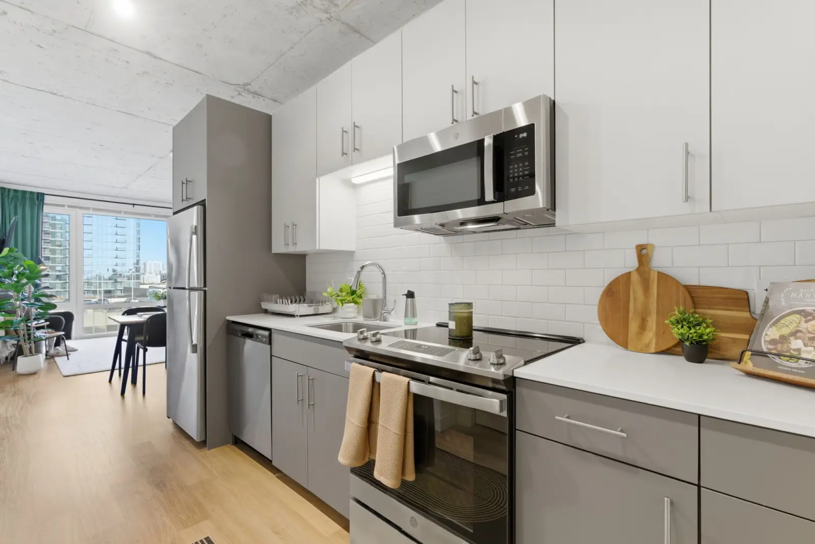 20 web or mls DSC02765