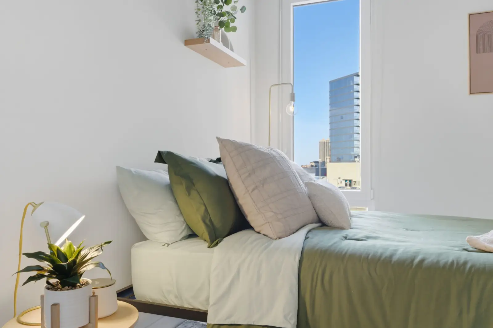 4 web or mls DSC02705